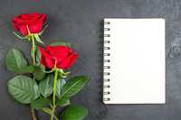 谁主张谁举证的举证原则适用于